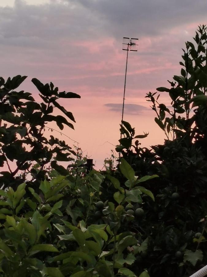 Dimora Di Donna Rita Hotel Anacapri  Luaran gambar